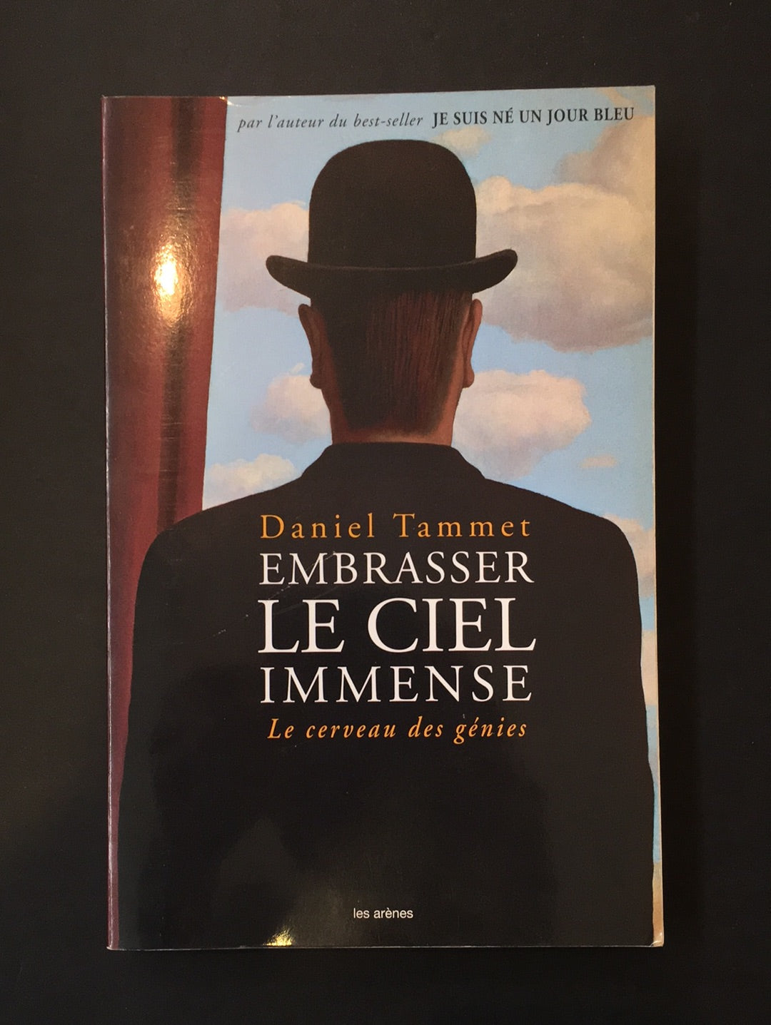 EMBRASSER LE CIEL IMMENSE - LE CERVEAU DES GÉNIES