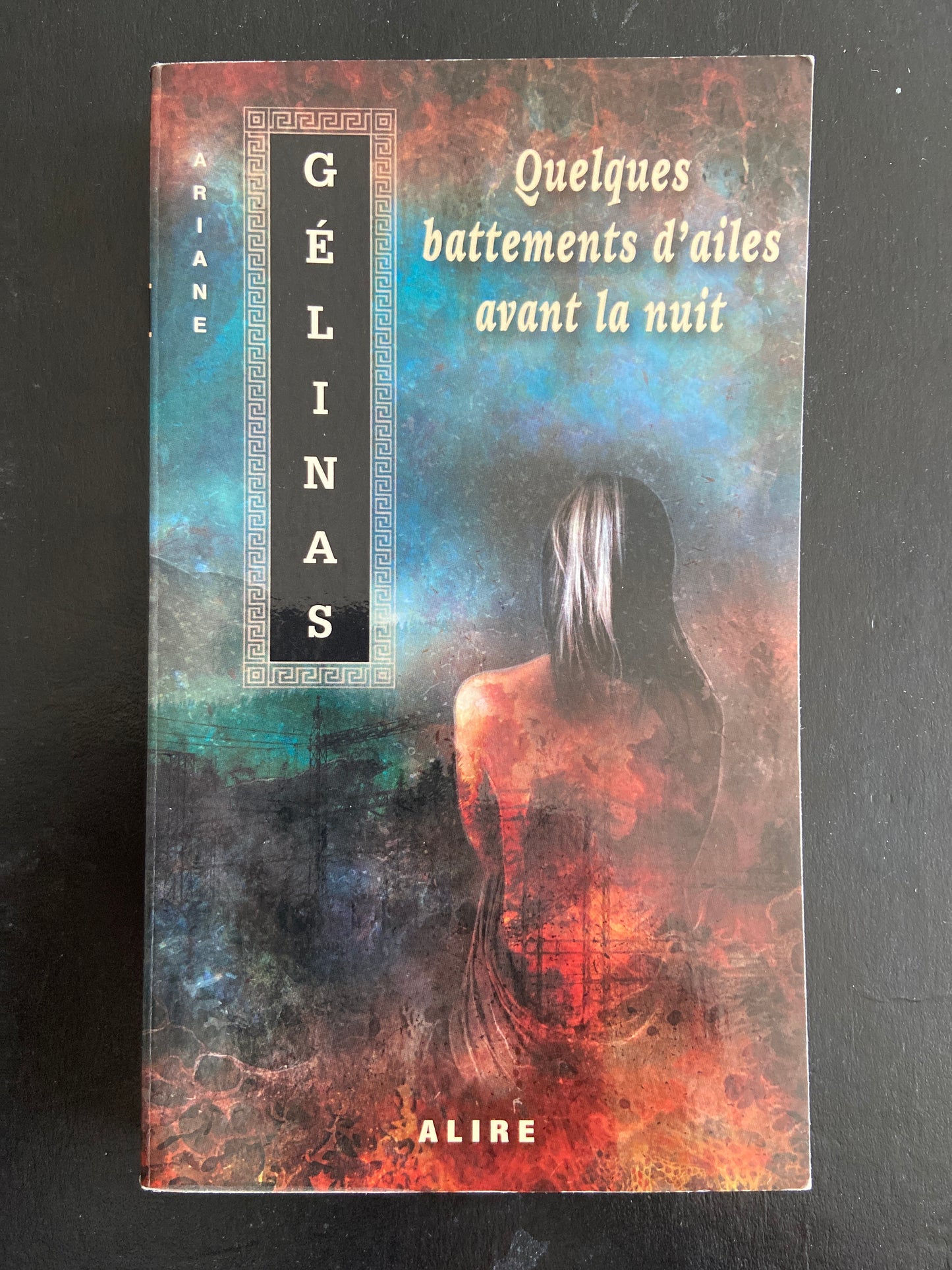 QUELQUES BATTEMENTS D'AILES AVANT LA NUIT