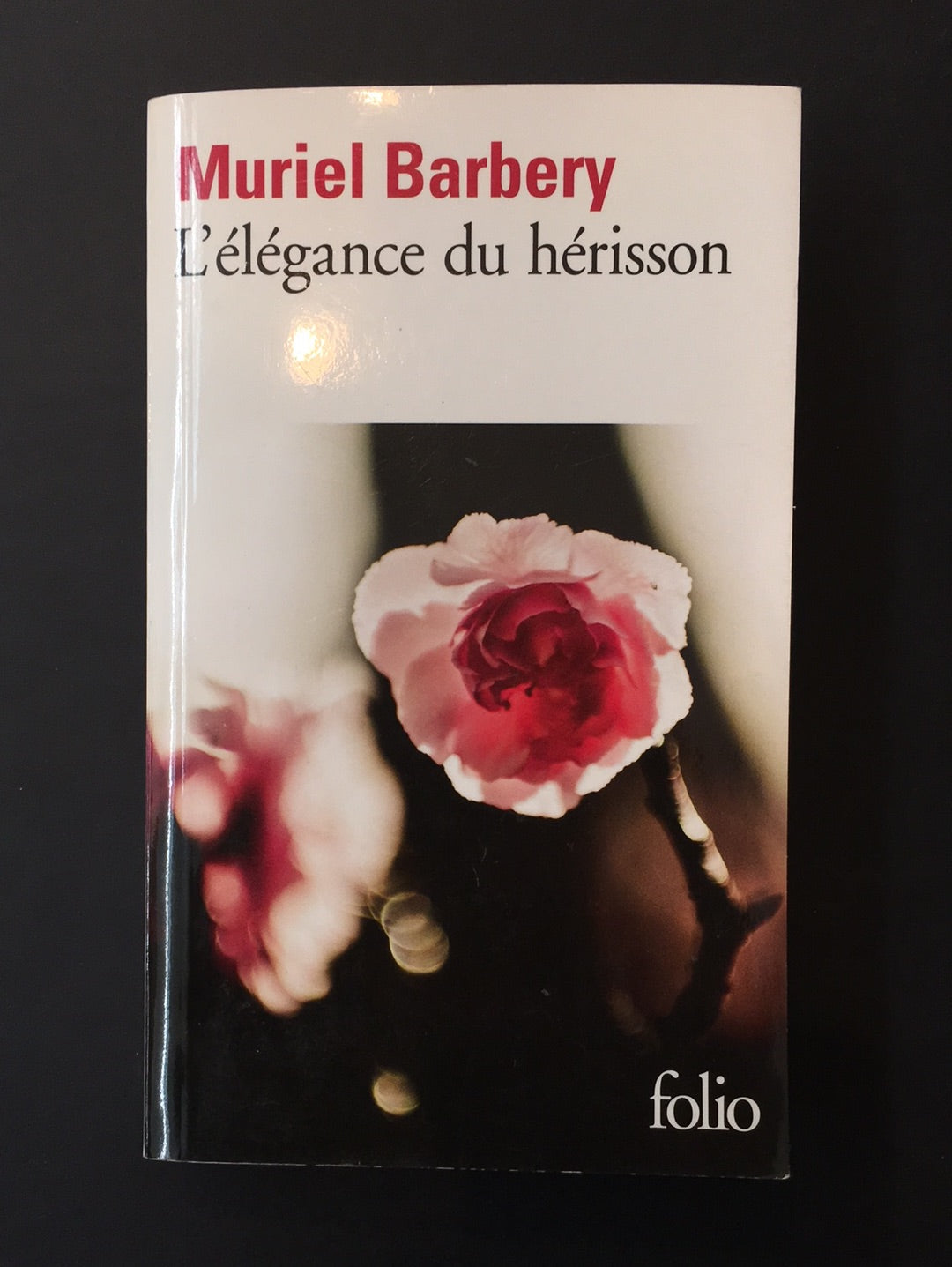 L'ÉLÉGANCE DU HÉRISSON