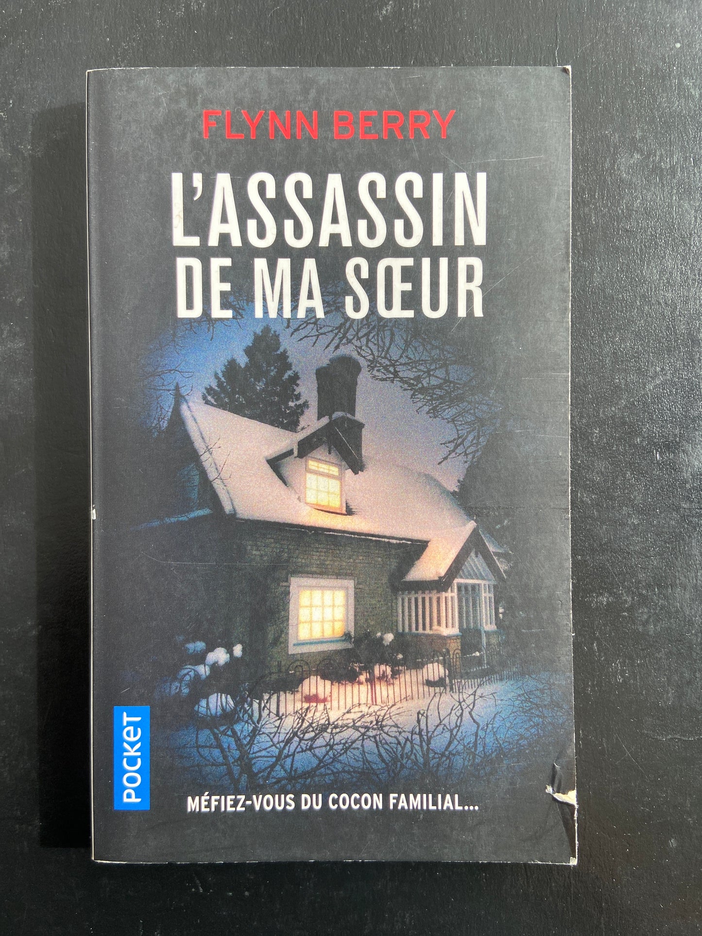 L'ASSASSIN DE MA SŒUR