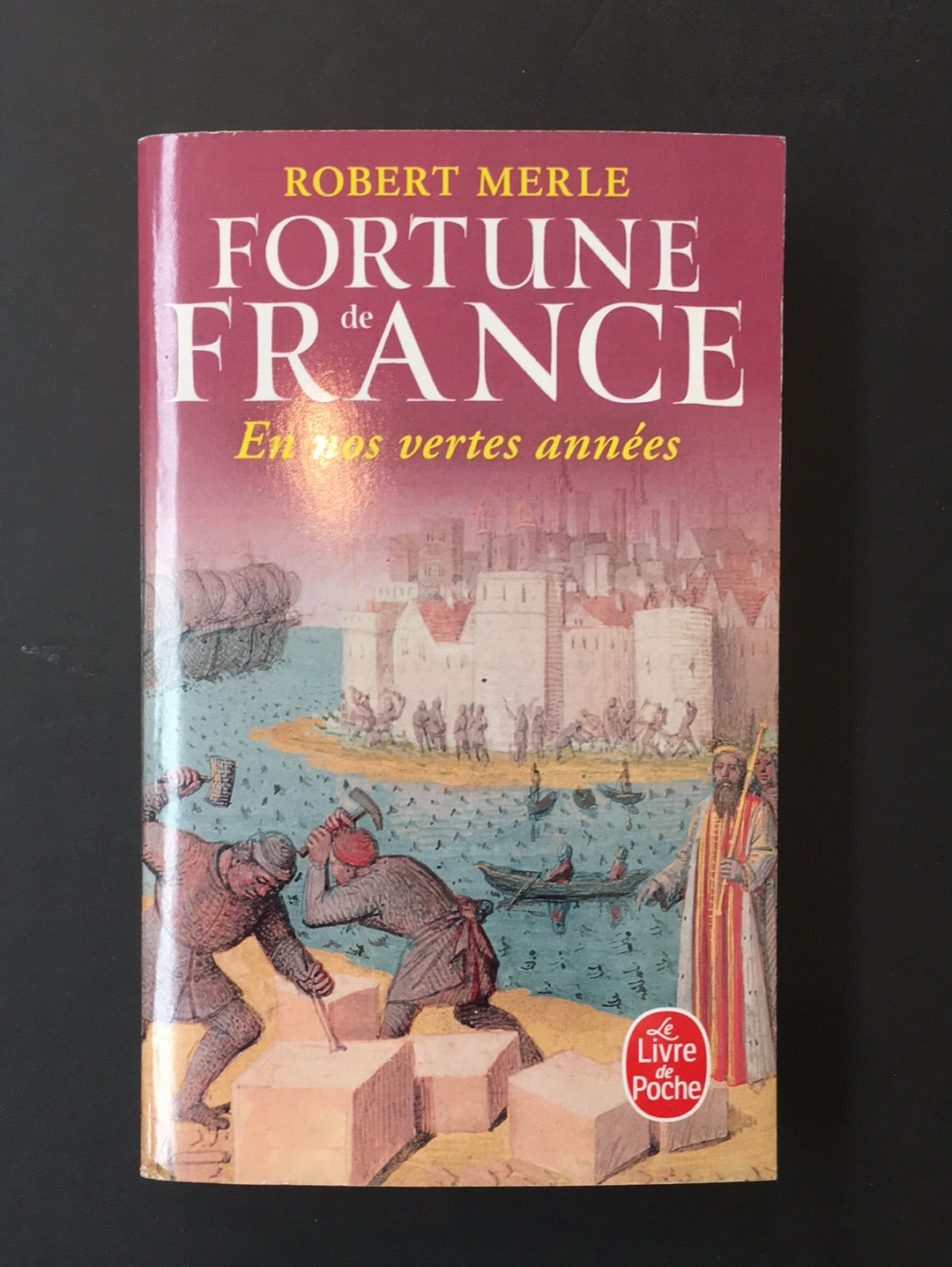 FORTUNE DE FRANCE - TOME 02 - EN NOS VERTES ANNÉES