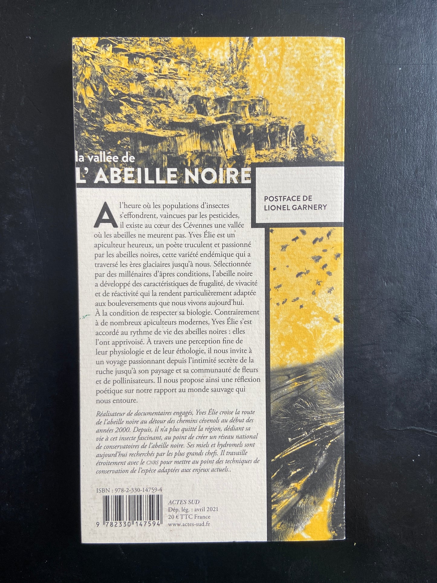 LA VALLÉE DE L'ABEILLE NOIRE