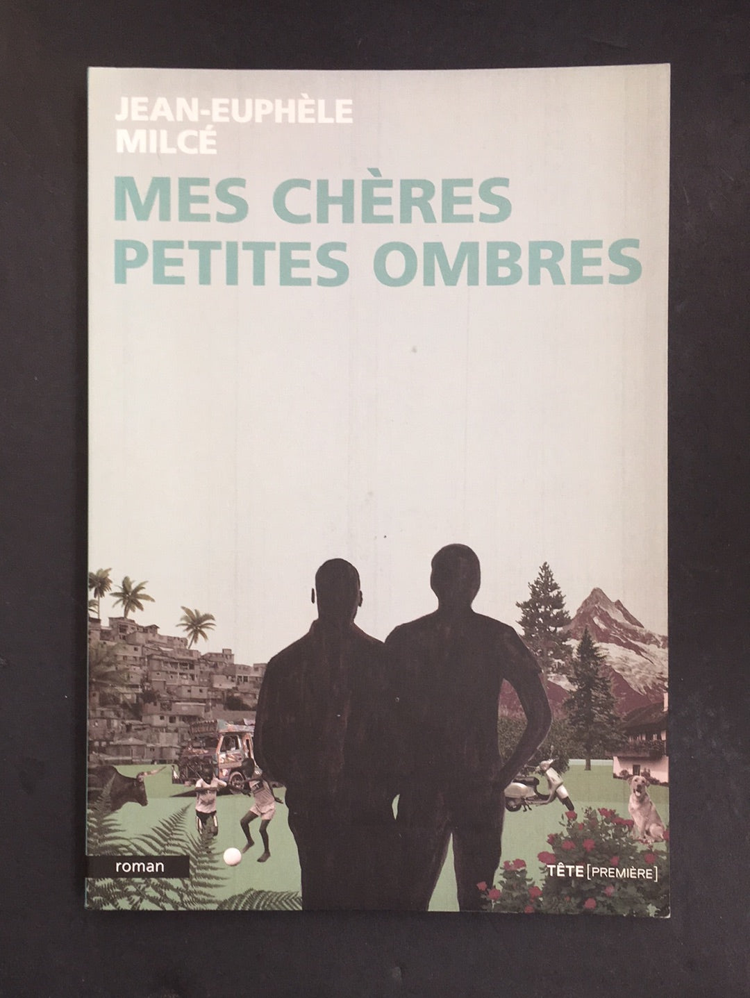 MES CHÈRES PETITES OMBRES