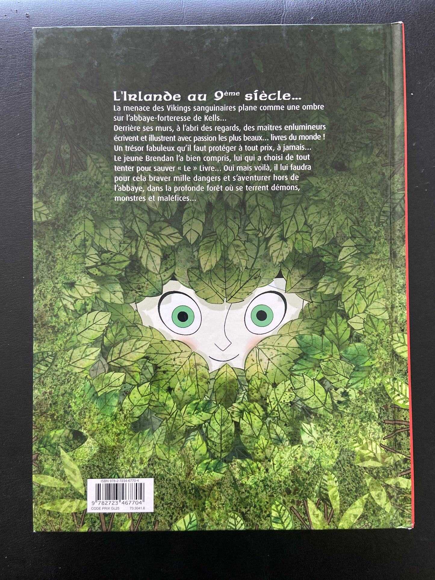 BRENDAN ET LE SECRET DE KELLS - TOME 01