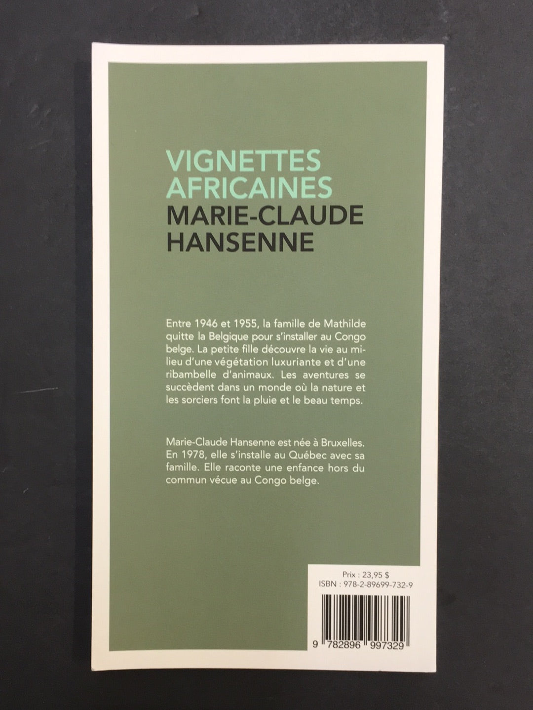 VIGNETTES AFRICAINES