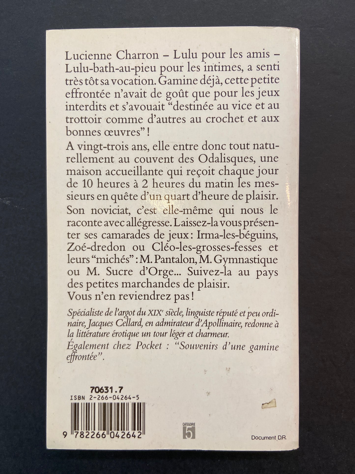 LES PETITES MARCHANDES DE PLAISIR