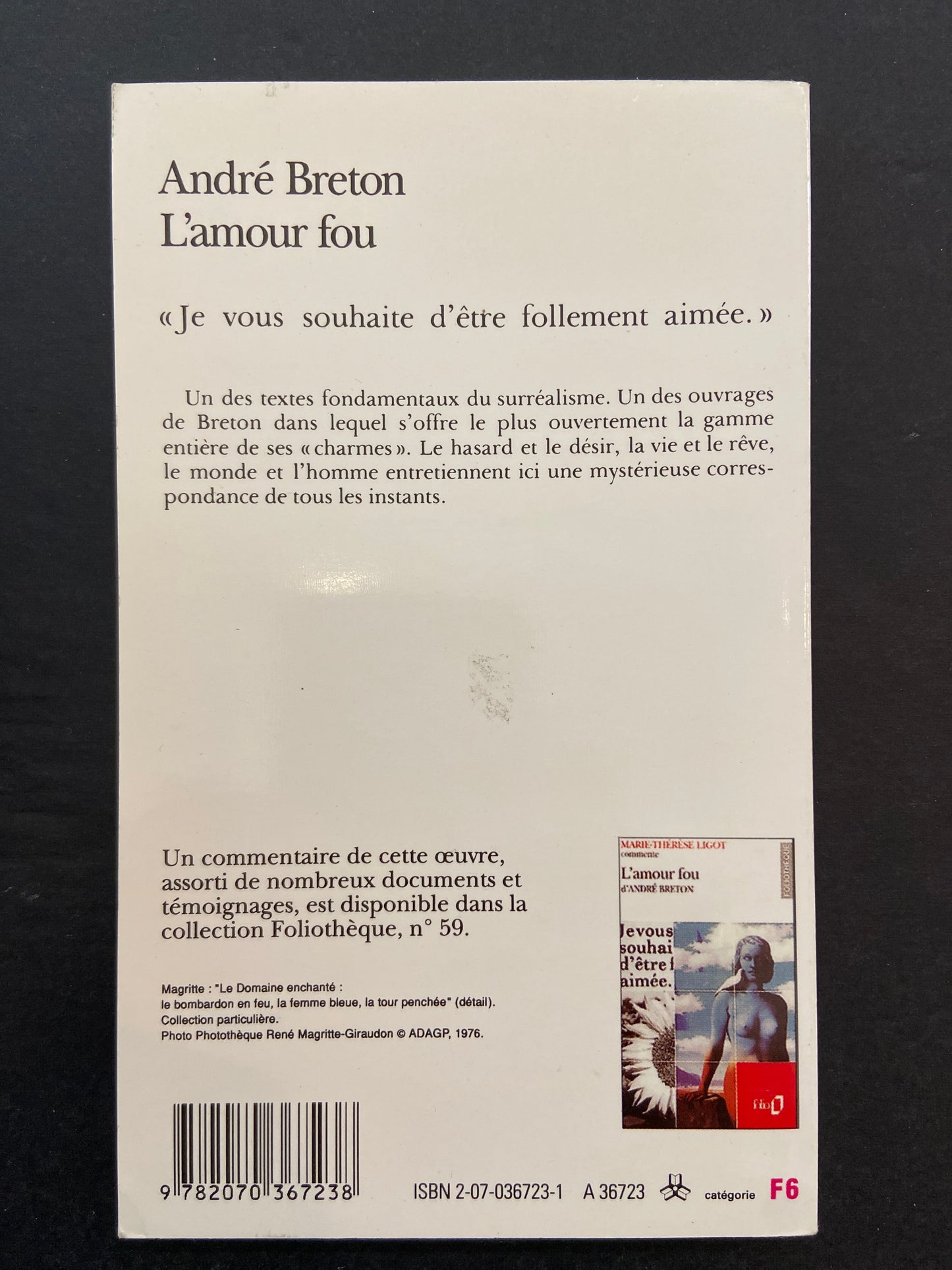 L'AMOUR FOU