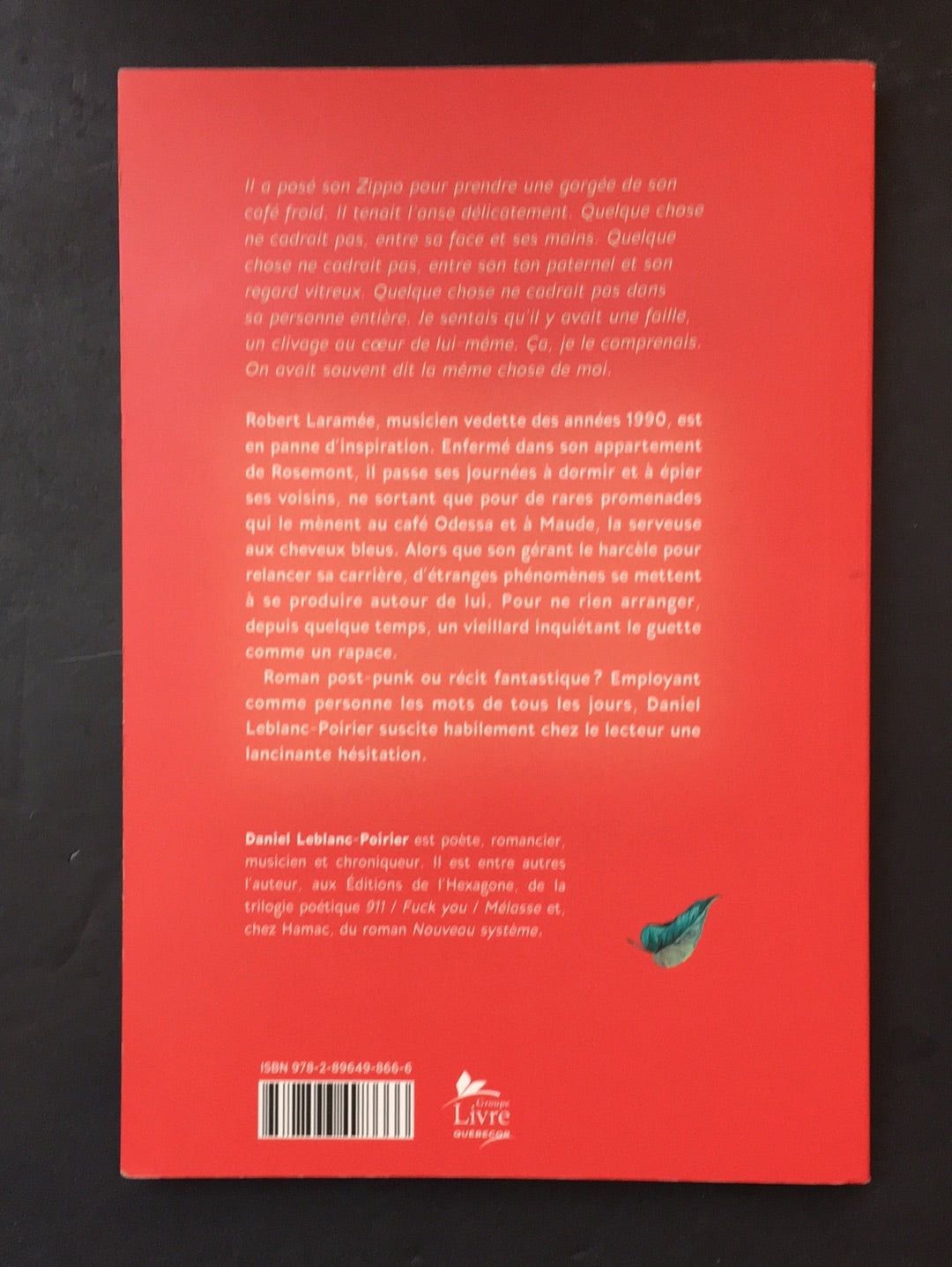 LA DISPARITION DES MIROIRS