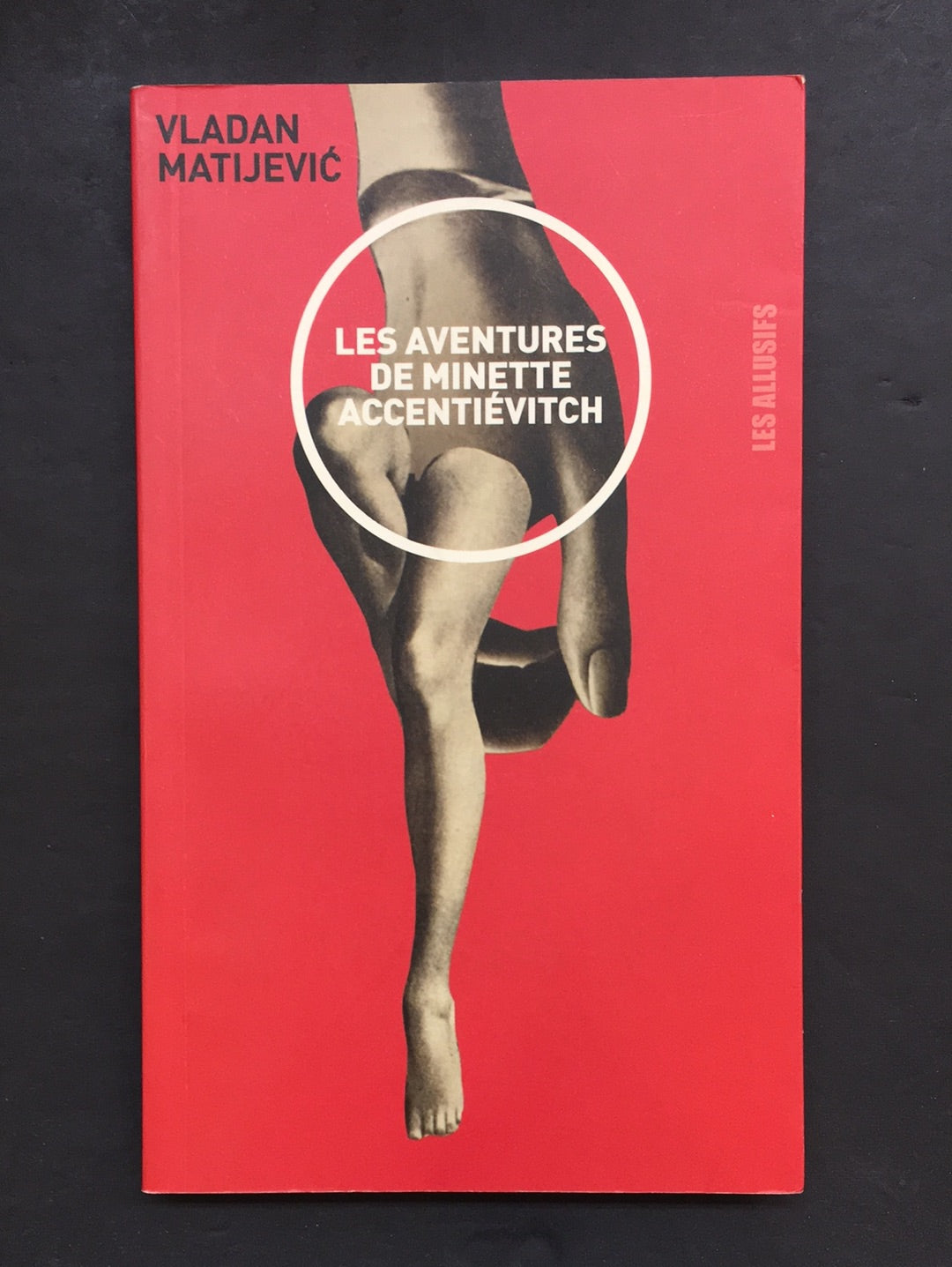 LES AVENTURES DE MINETTE ACCENTIÉVITCH