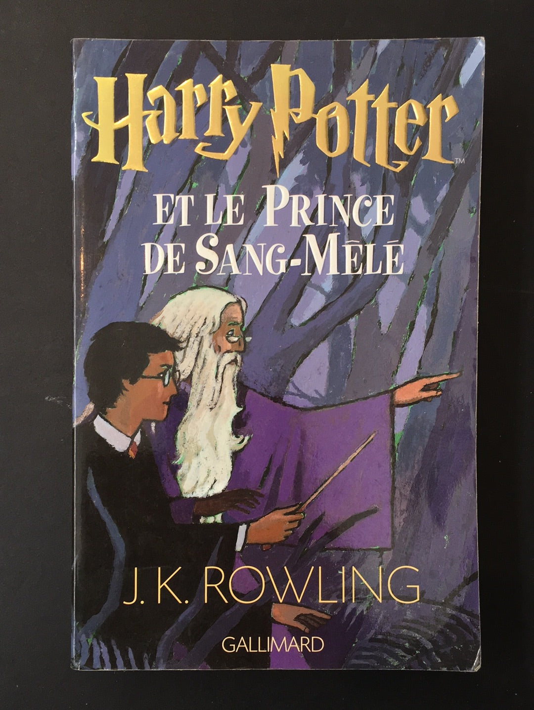 HARRY POTTER - TOME 06 - ET LE PRINCE DE SANG-MÊLÉ