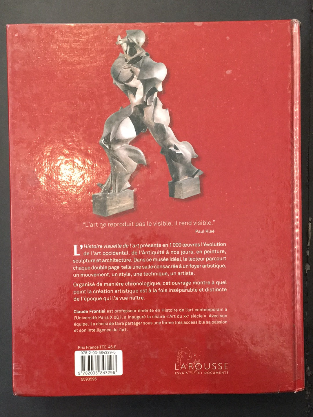 HISTOIRE VISUELLE DE L'ART