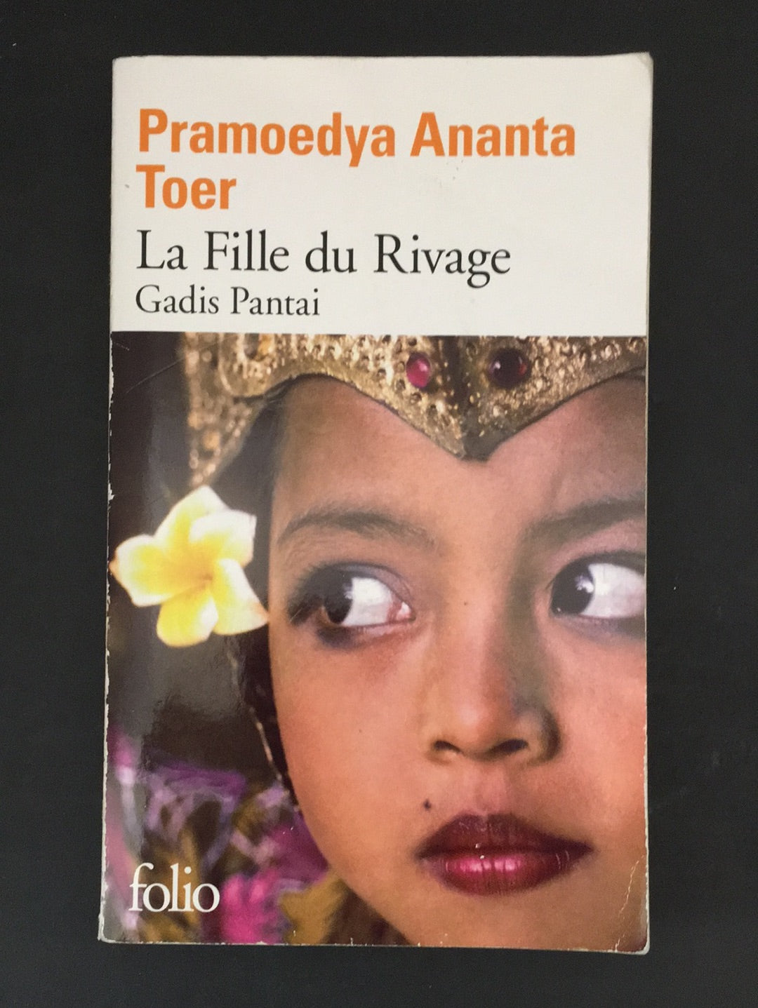 LA FILLE DU RIVAGE