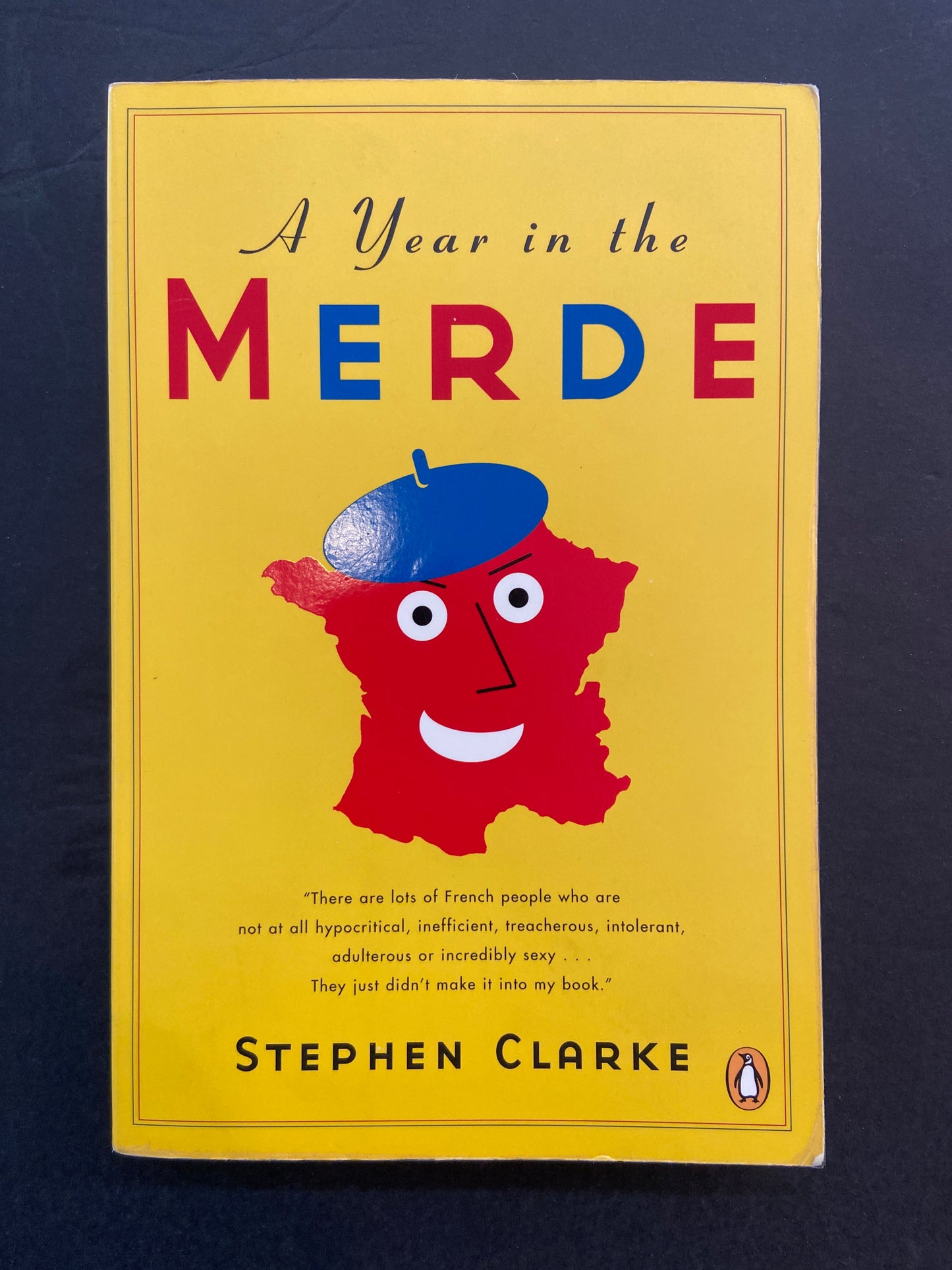A YEAR IN THE MERDE