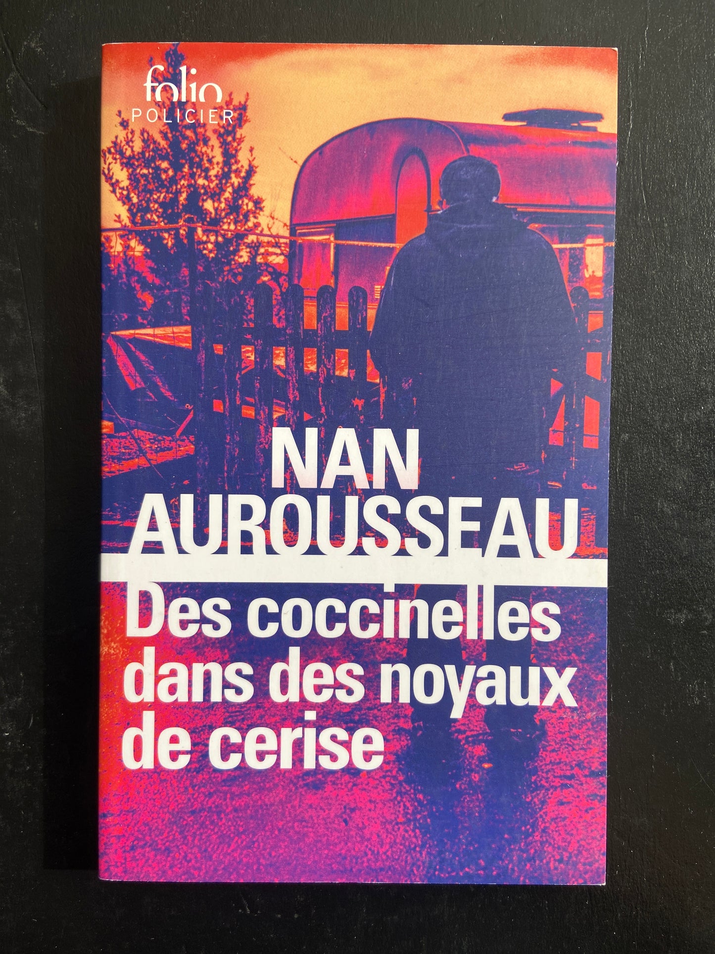 DES COCCINELLES DANS DES NOYAUX DE CERISE
