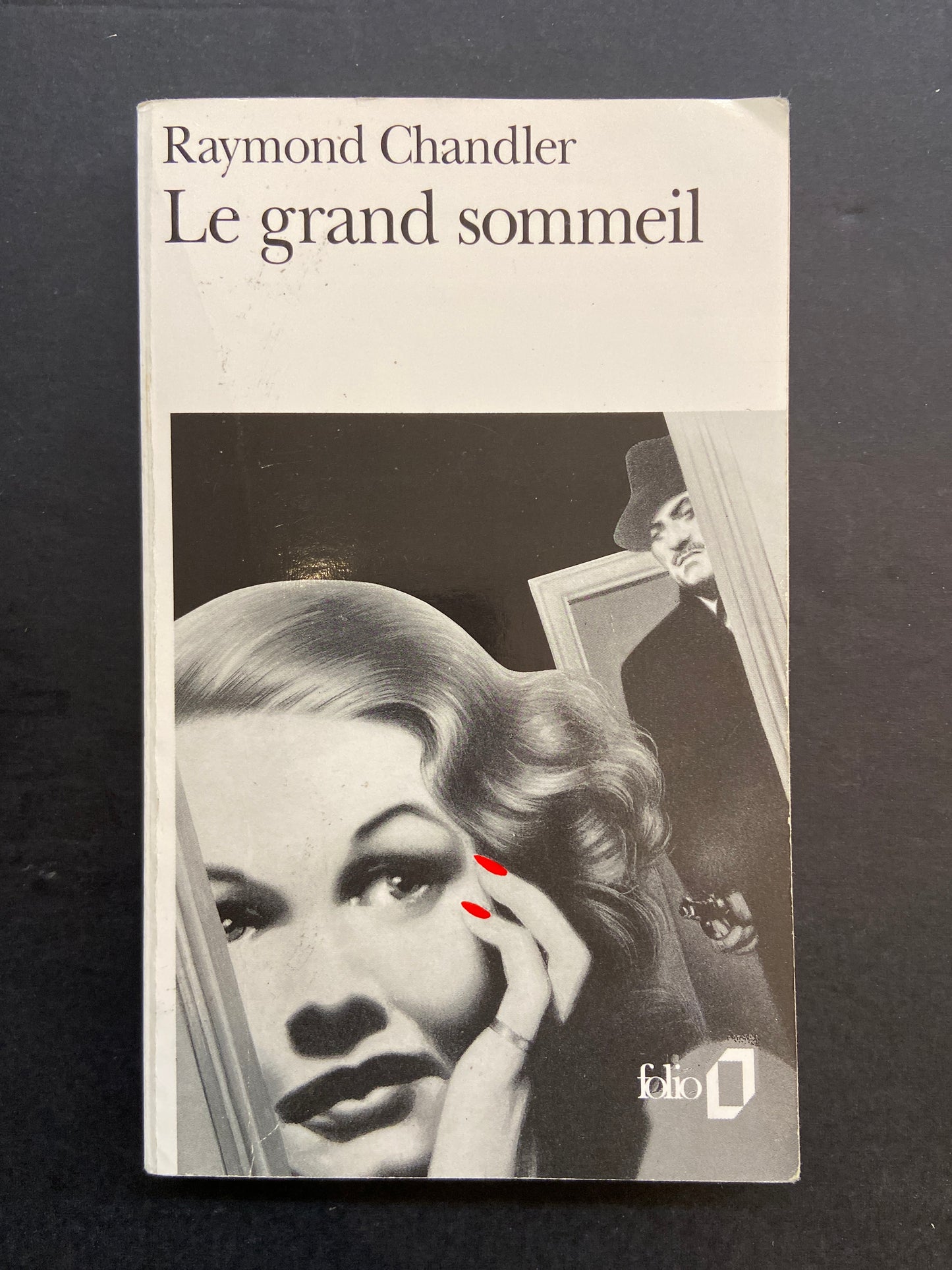 LE GRAND SOMMEIL