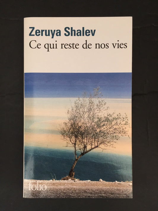 CE QUI RESTE DE NOS VIES