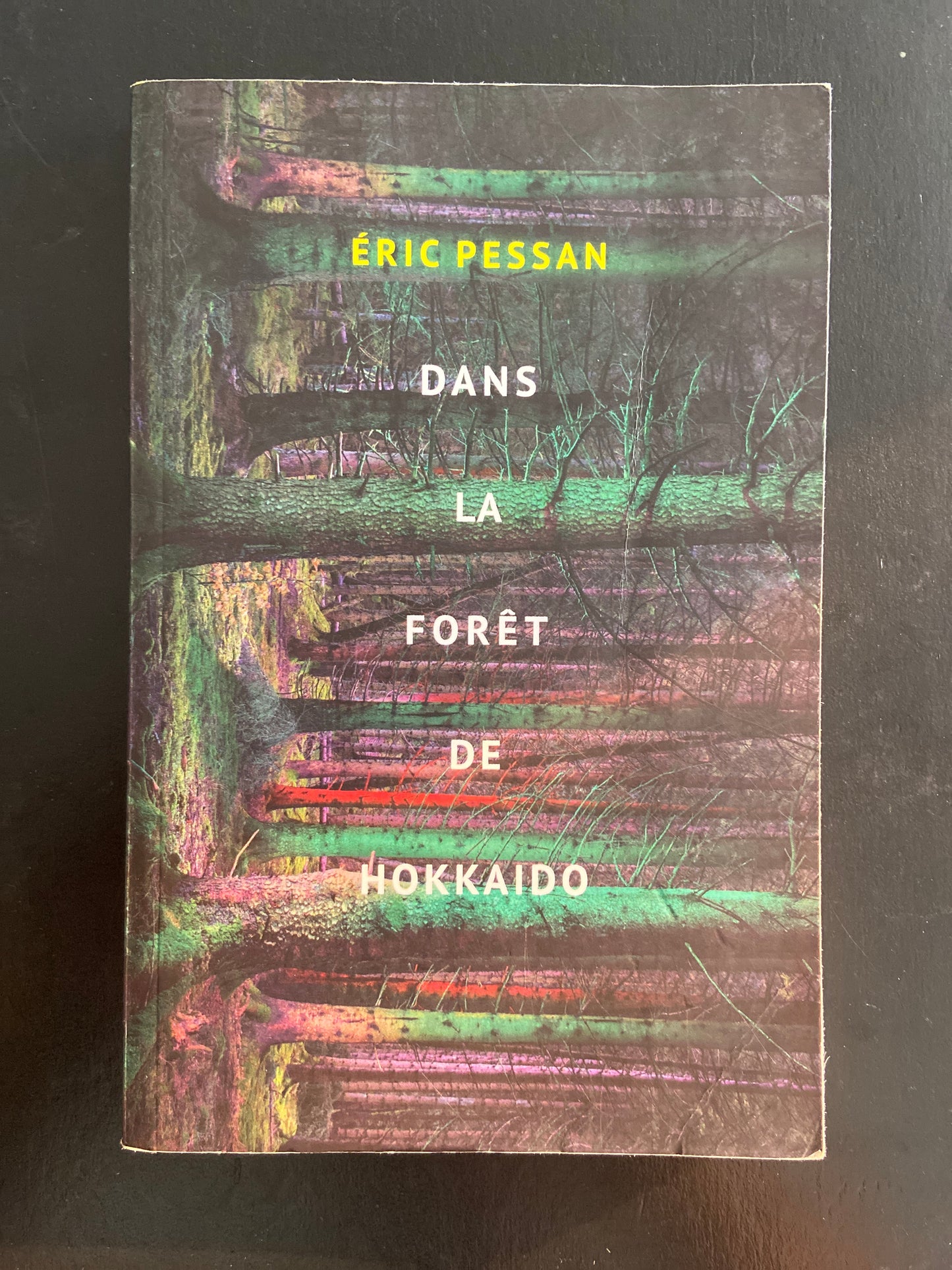 DANS LA FORÊT DE HOKKAIDO