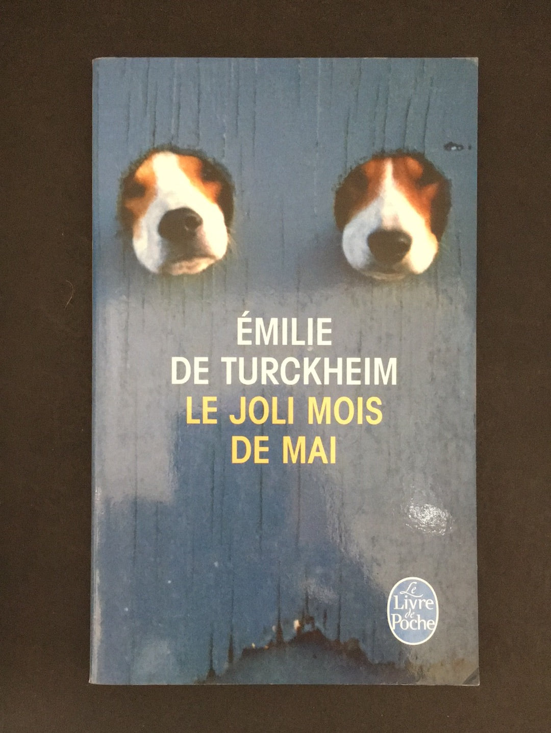 LE JOLI MOIS DE MAI.