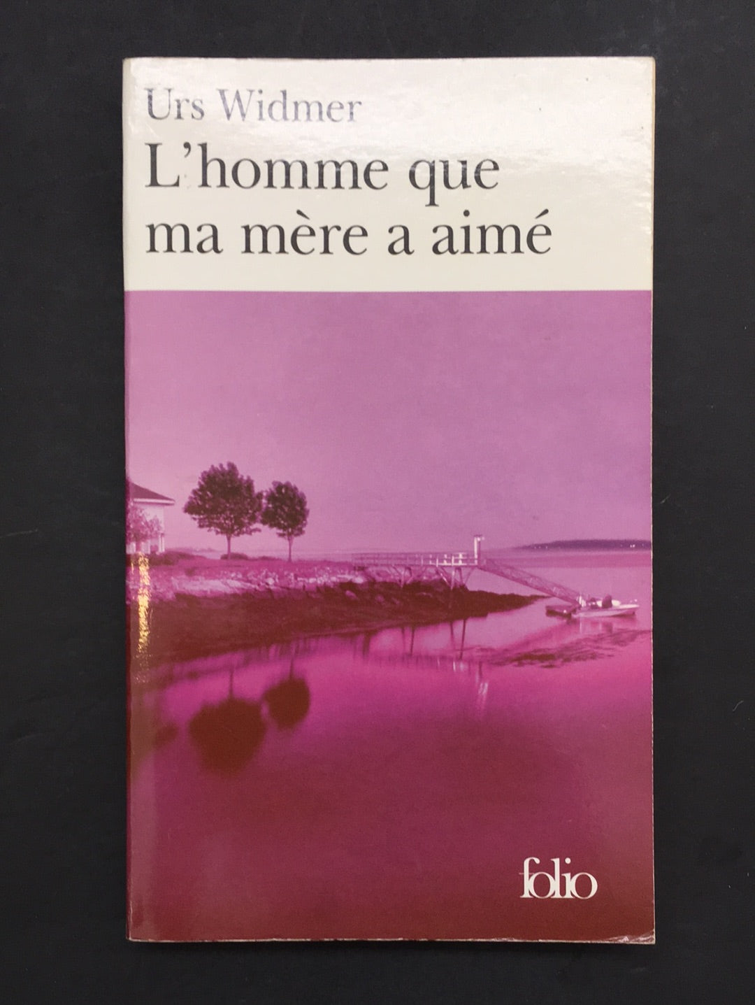 L'HOMME QUE MA MÈRE A AIMÉ