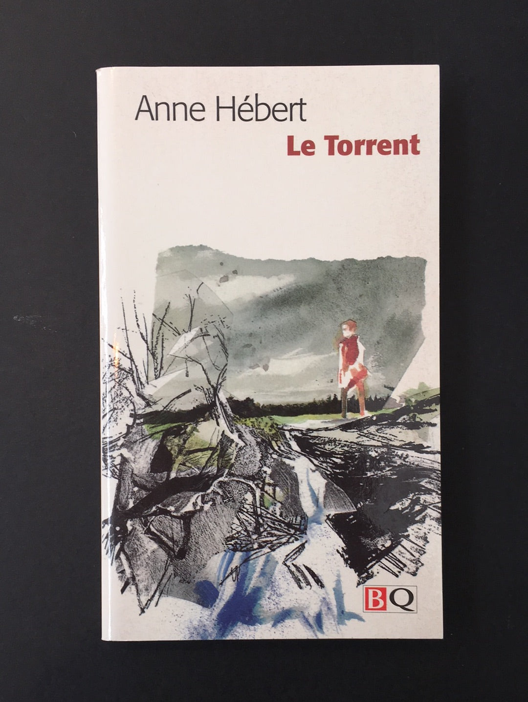 LE TORRENT
