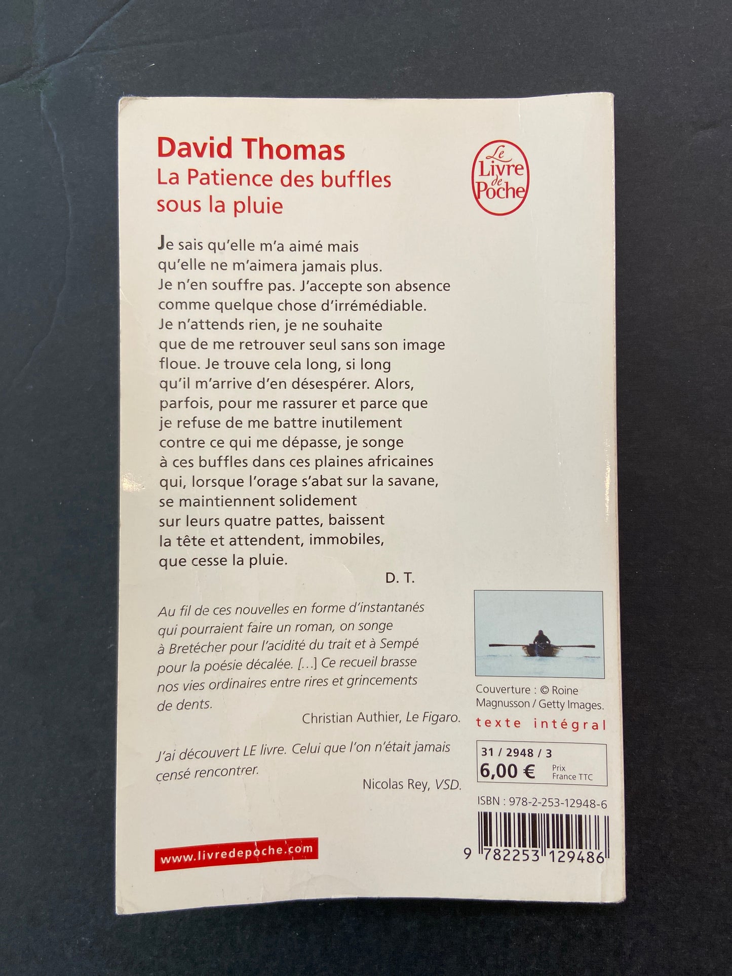 LA PATIENCE DES BUFFLES SOUS LA PLUIE