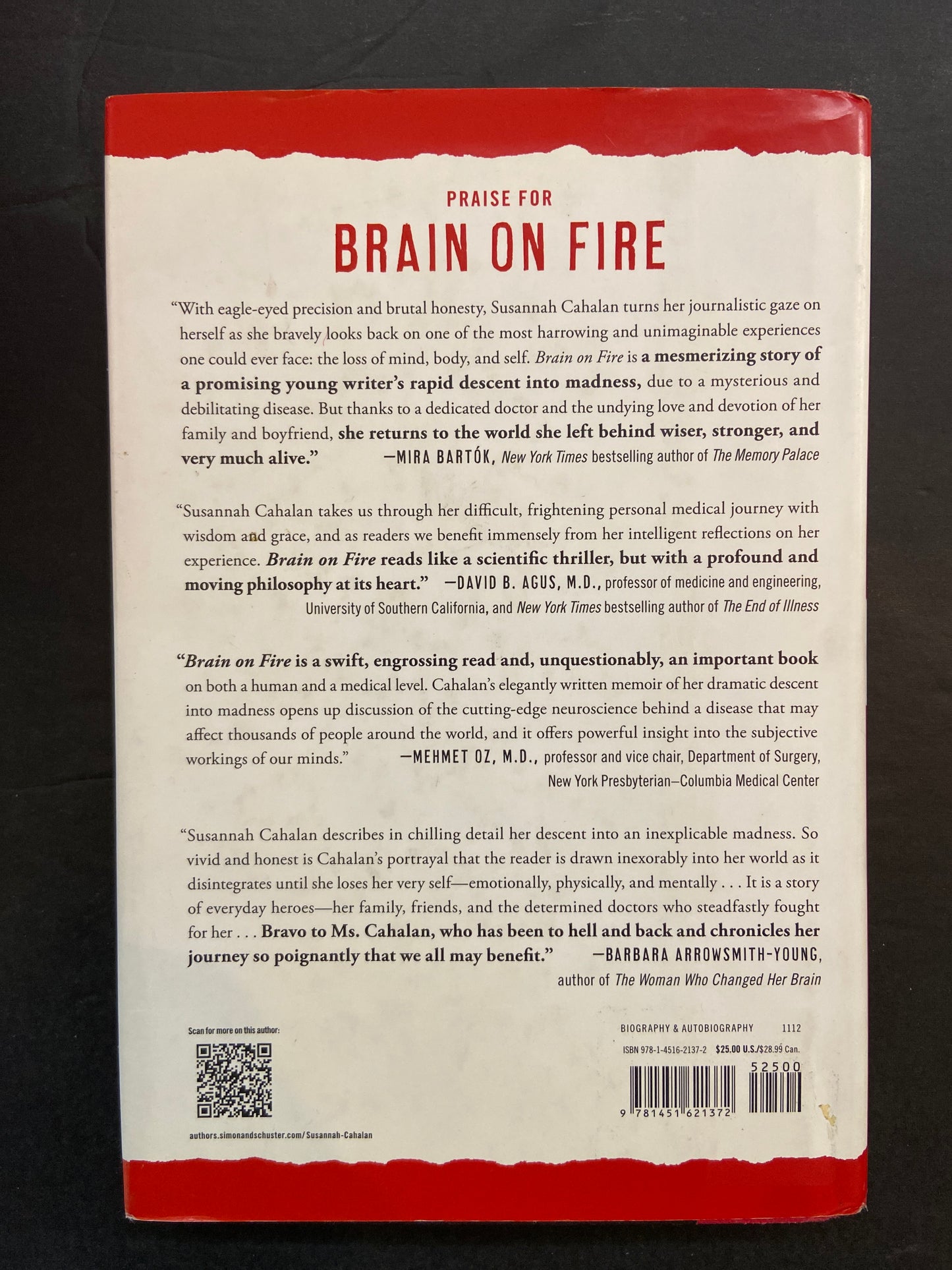 BRAIN ON FIRE - MY MONTH OF MADNESS