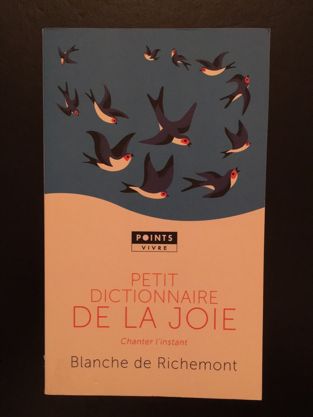 PETIT DICTIONNAIRE DE LA JOIE