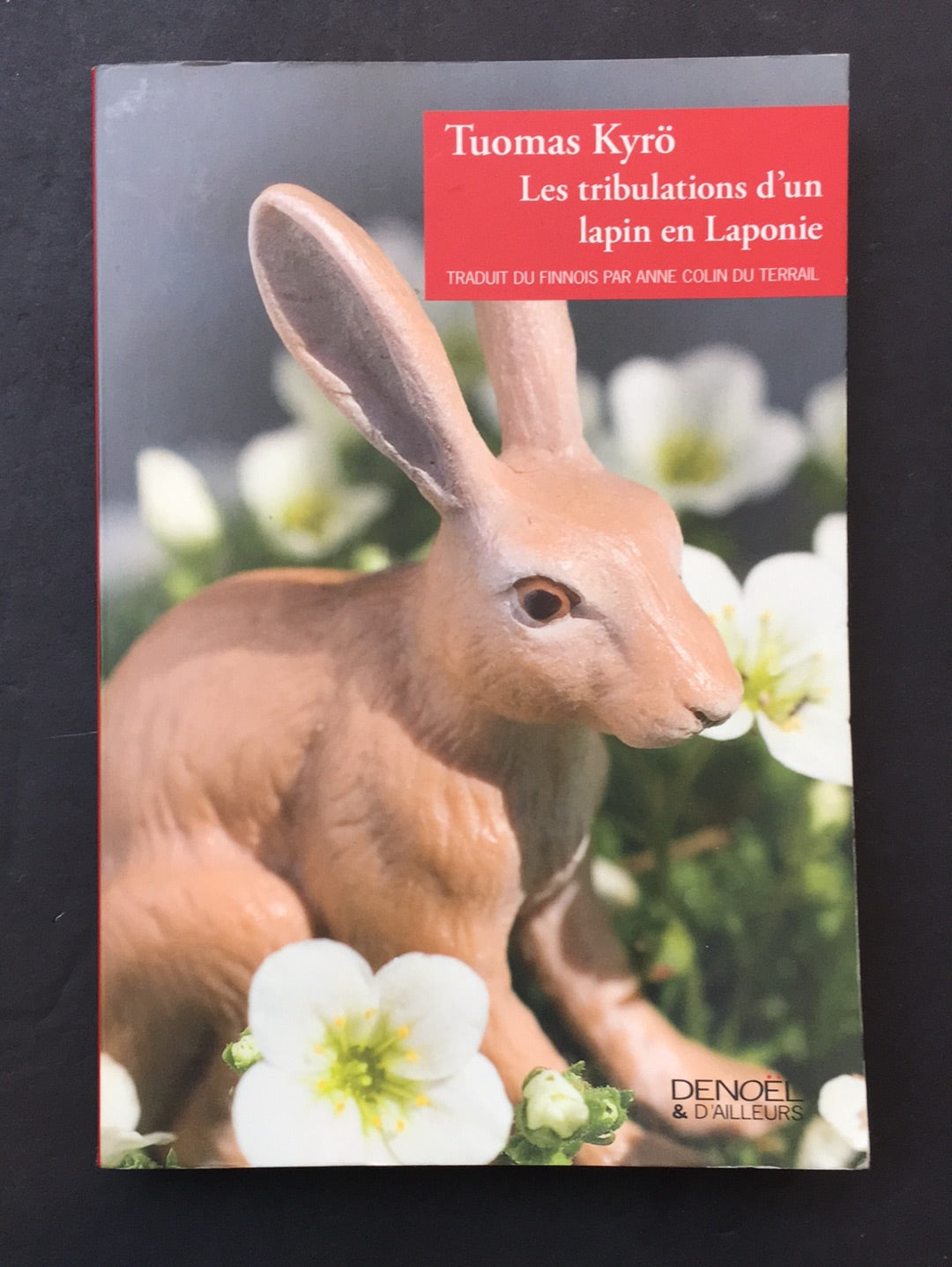 LES TRIBULATIONS D'UN LAPIN EN LAPONIE