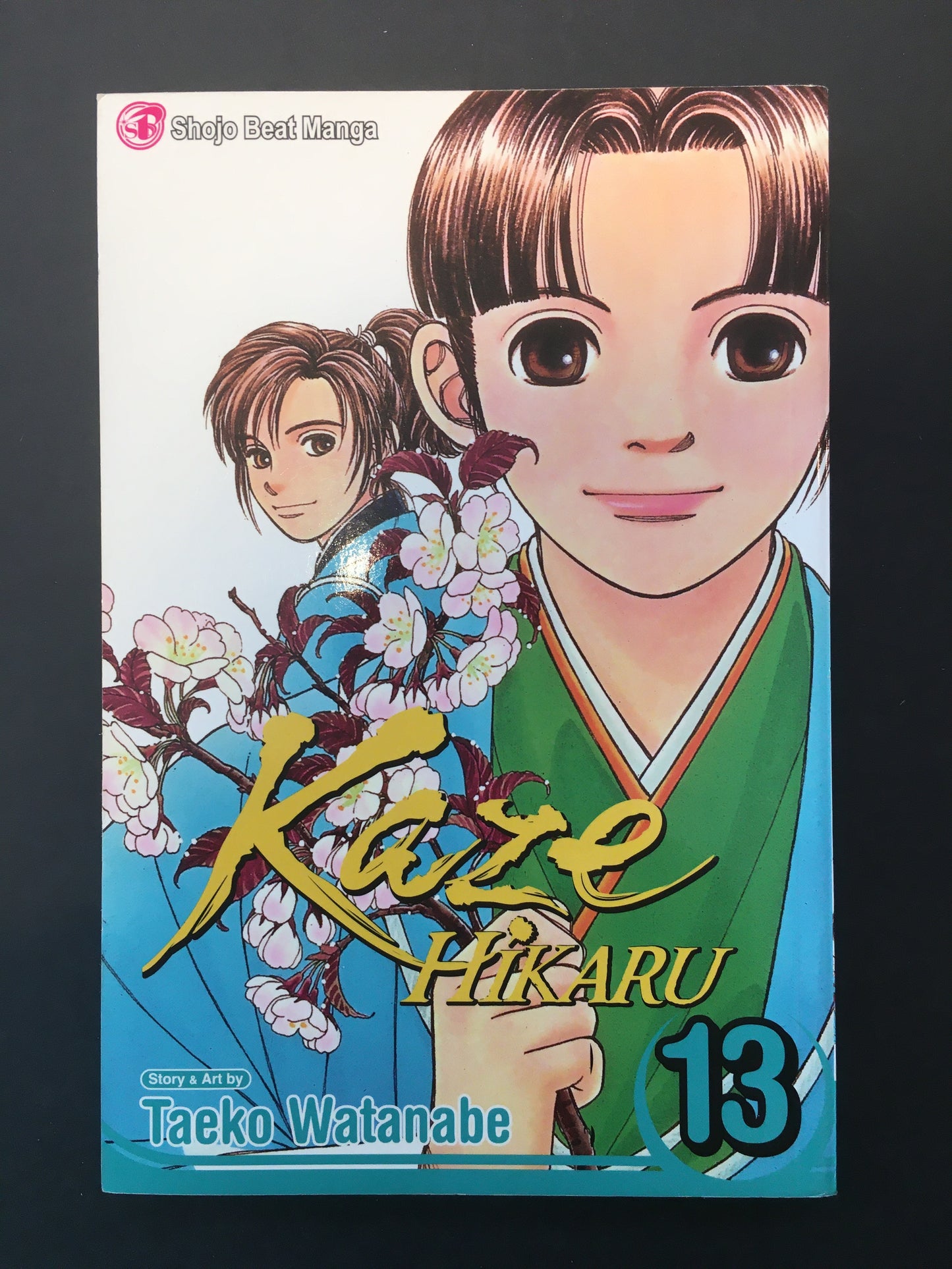 KAZE HIKARU - T.13