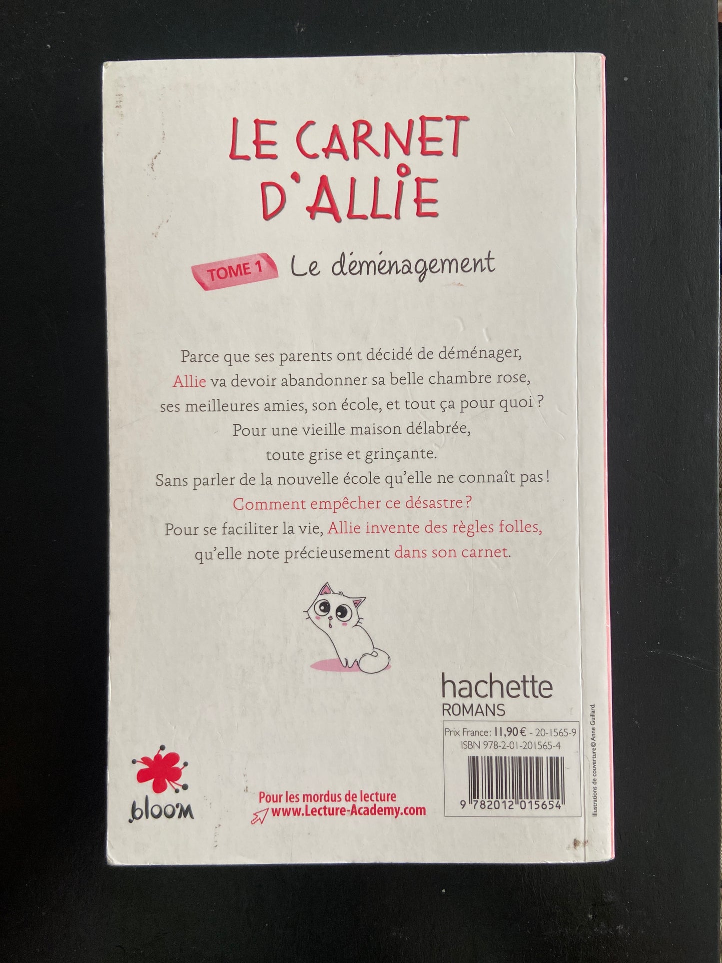 LE CARNET D'ALLIE - TOME 01 - LE DÉMÉNAGEMENT