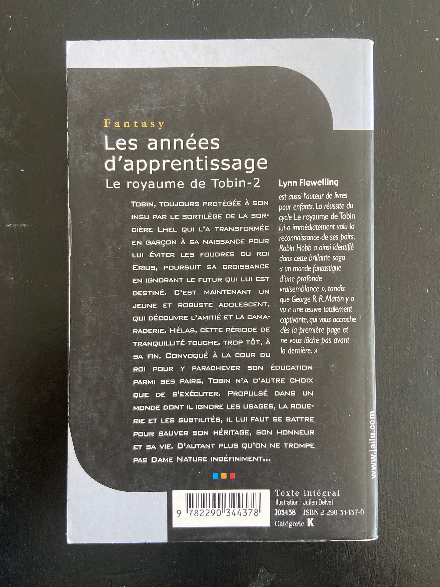 LE ROYAUME DE TOBIN - TOME 02 - LES ANNÉES D'APPRENTISSAGE