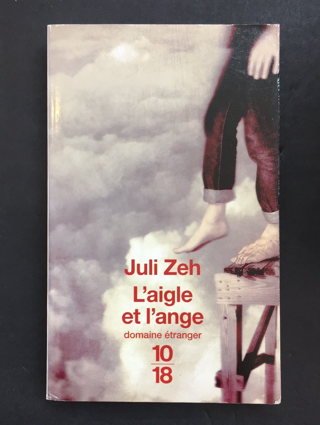 L'AIGLE ET L'ANGE