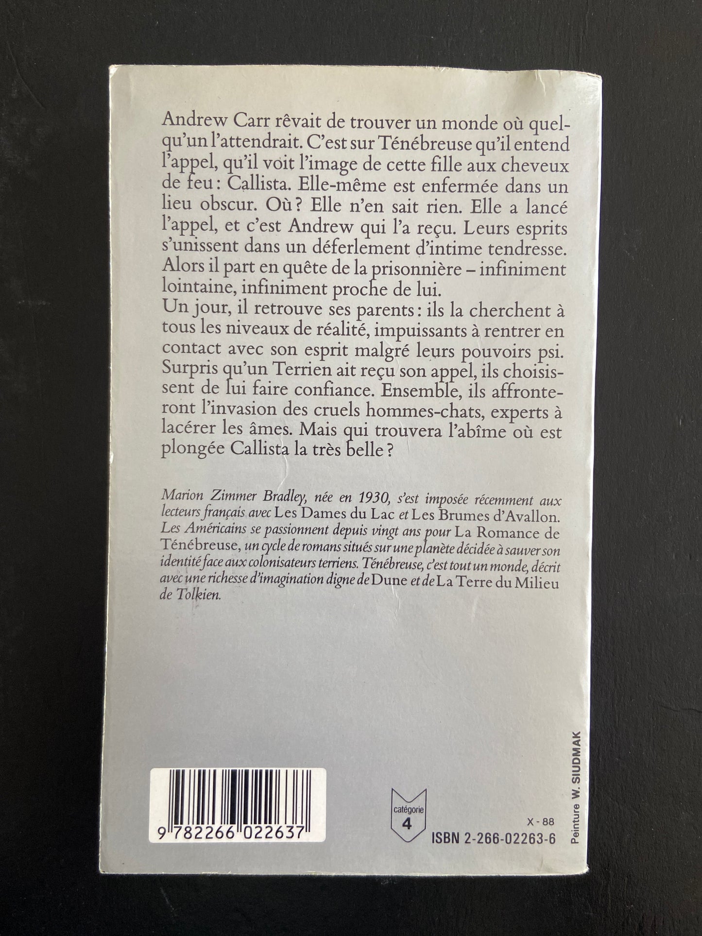 L'ÉPÉE ENCHANTÉE