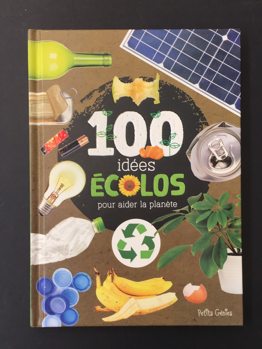 100 IDÉES ÉCOLOS POUR AIDER LA PLANÈTE