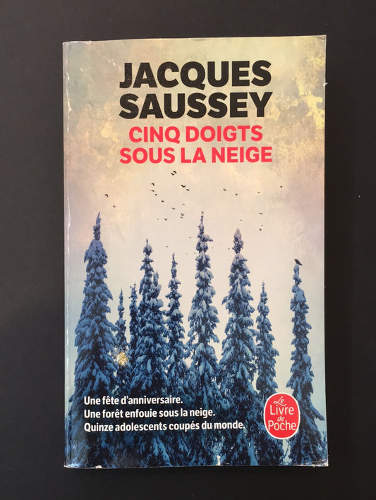 CINQ DOIGTS SOUS LA NEIGE