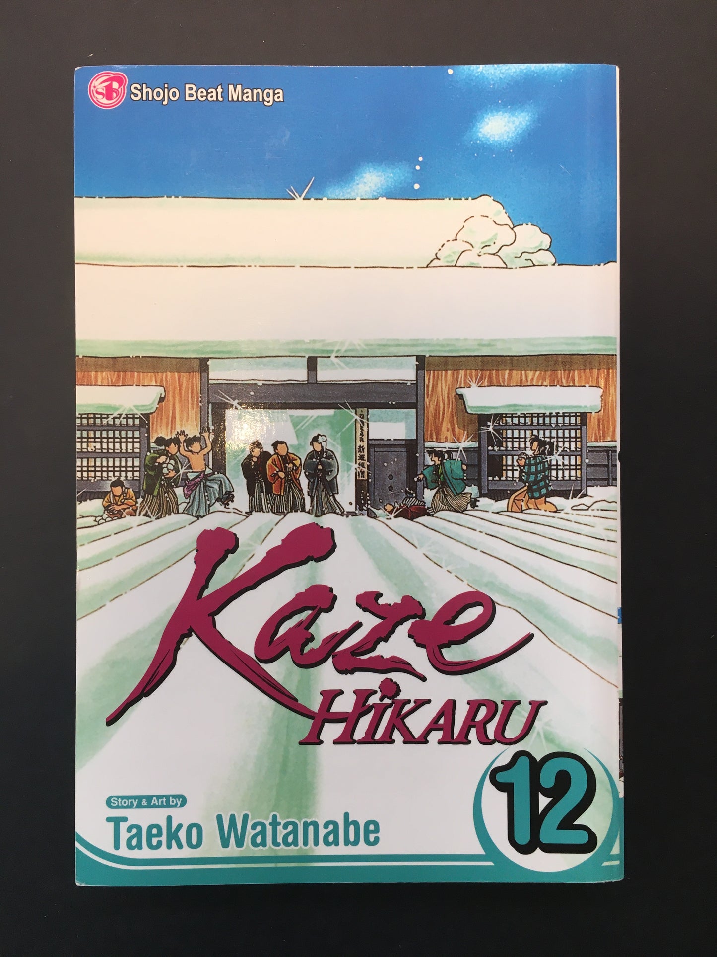 KAZE HIKARU - T.12