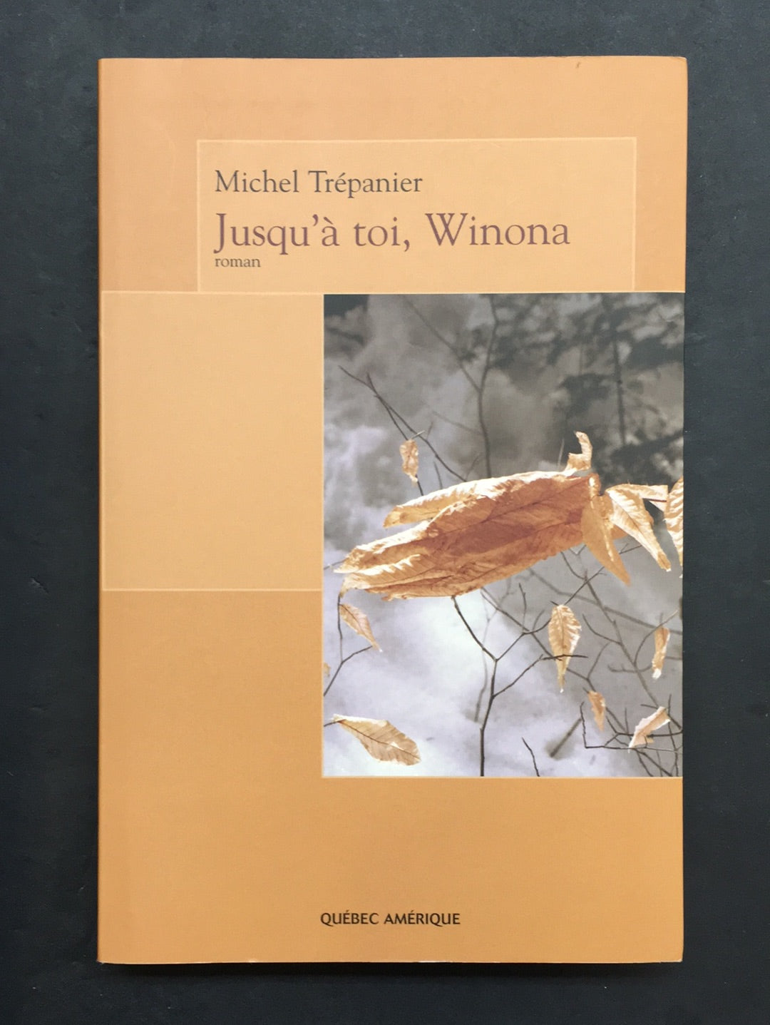 JUSQU'À TOI, WINONA