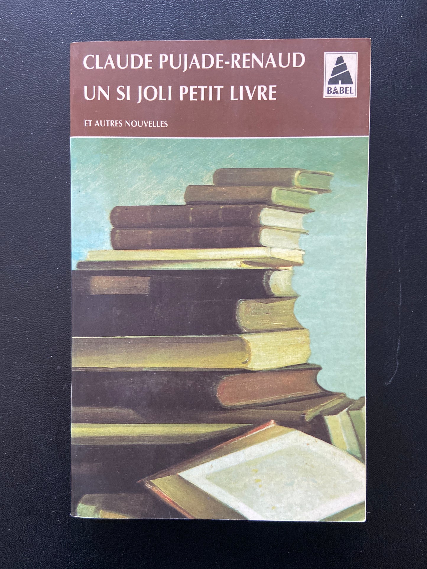 UN SI JOLI PETIT LIVRE