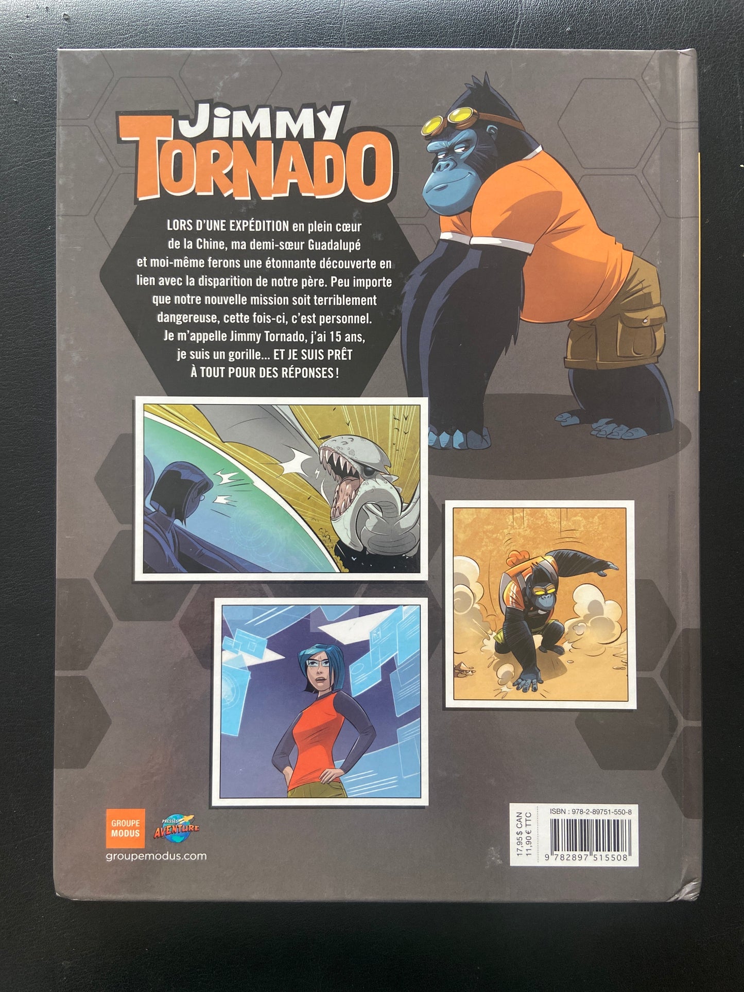 JIMMY TORNADO -TOME 03 - AUX PORTES D'AGARTHA