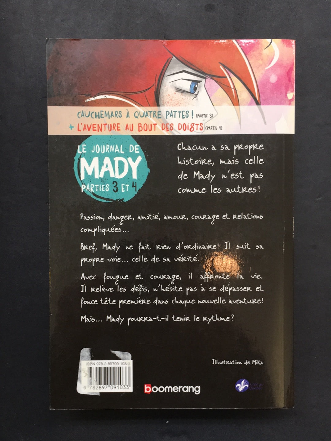LE JOURNAL DE MADY - PARTIES 3 ET 4