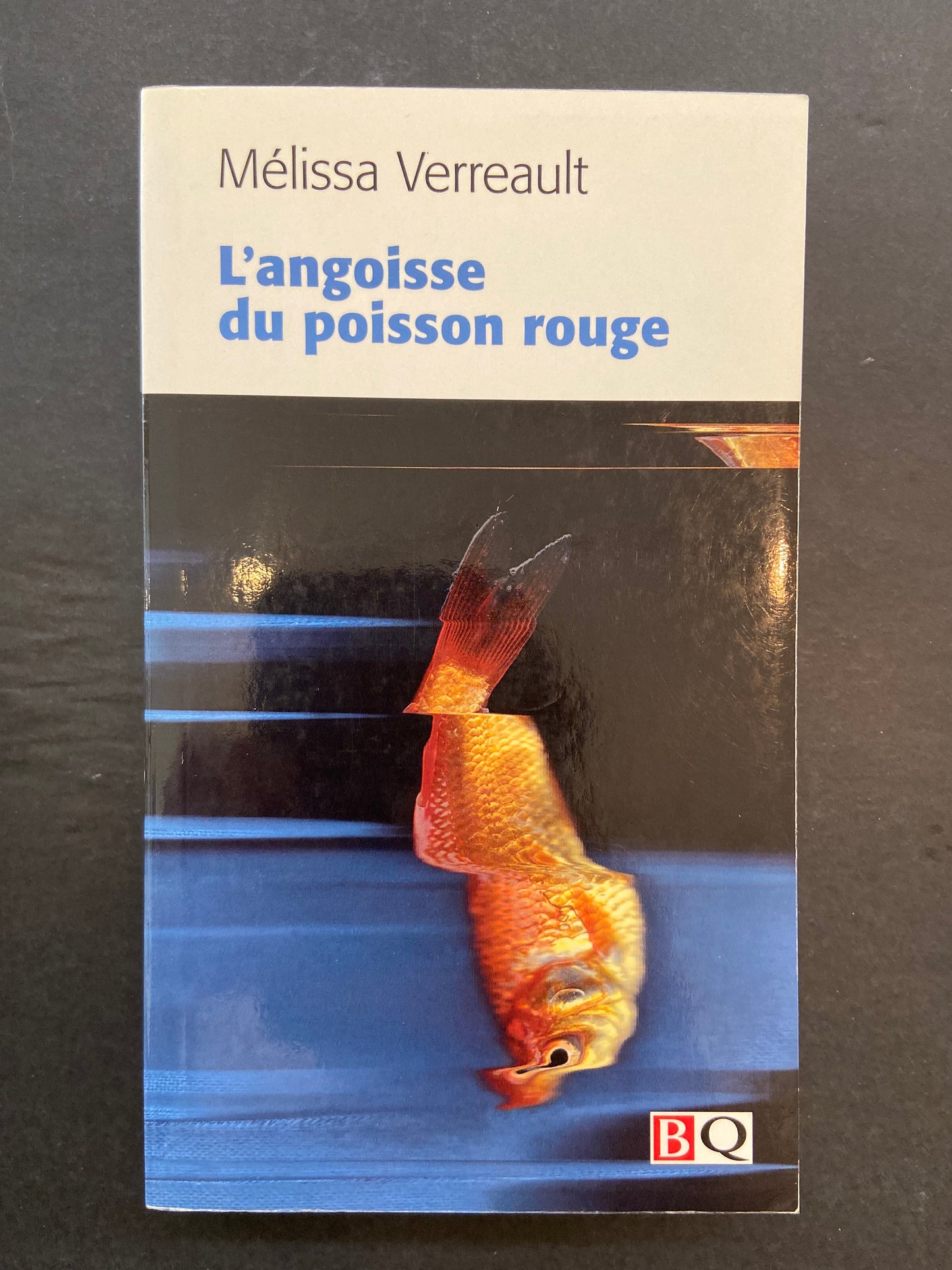 L'ANGOISSE DU POISSON ROUGE