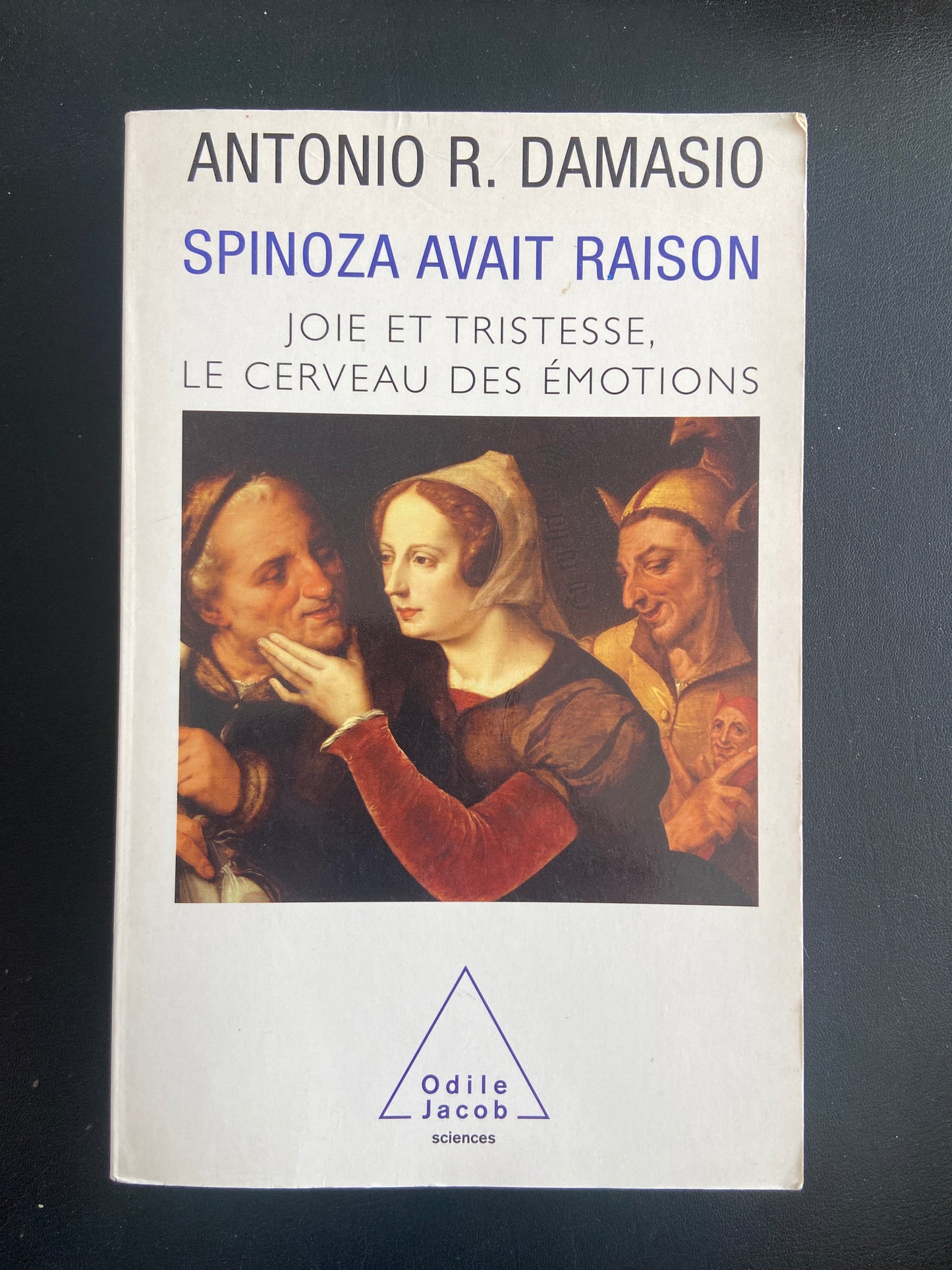 SPINOZA AVAIT RAISON - JOIE ET TRISTESSE, LE CERVEAU DES ÉMOTIONS