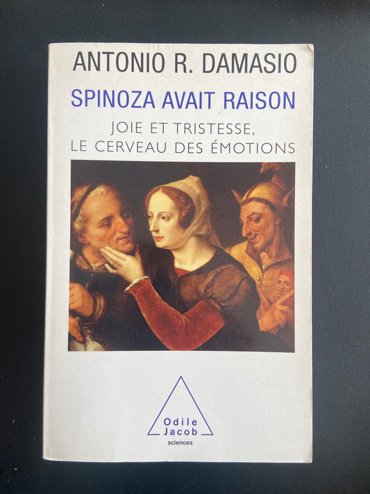 SPINOZA AVAIT RAISON - JOIE ET TRISTESSE, LE CERVEAU DES ÉMOTIONS