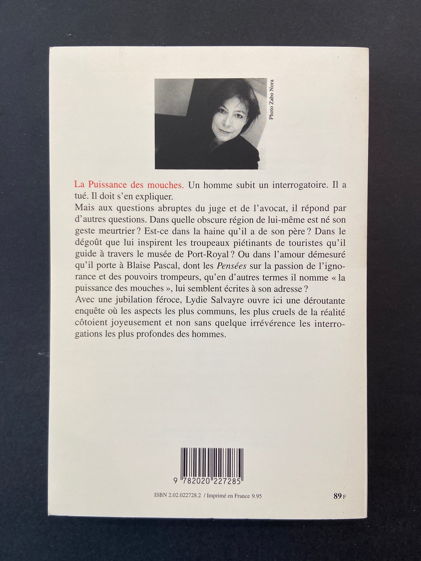 LA PUISSANCE DES MOUCHES