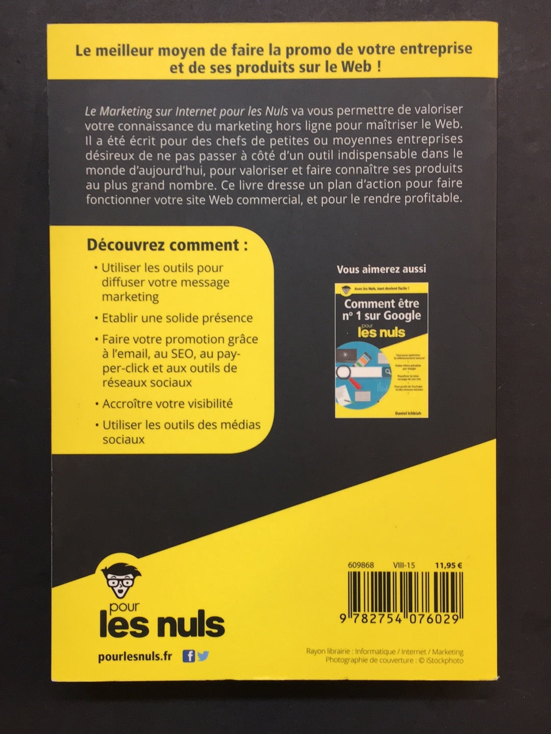 LE MARKETING SUR INTERNET (POUR LES NULS)