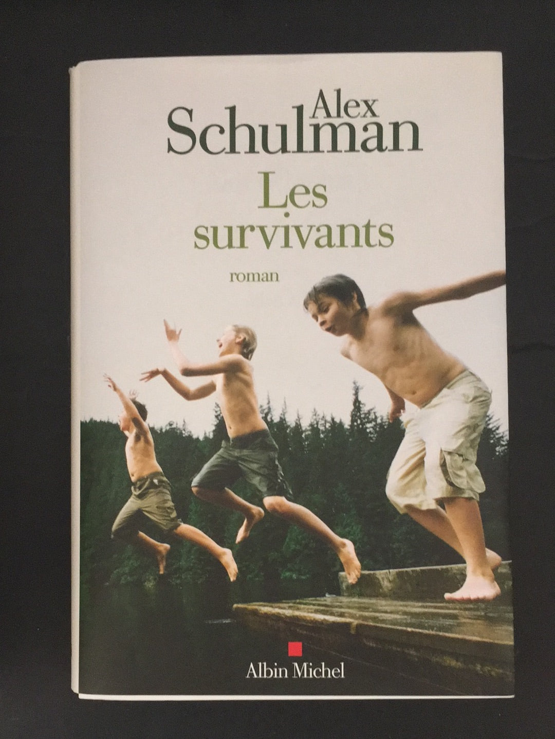 LES SURVIVANTS.