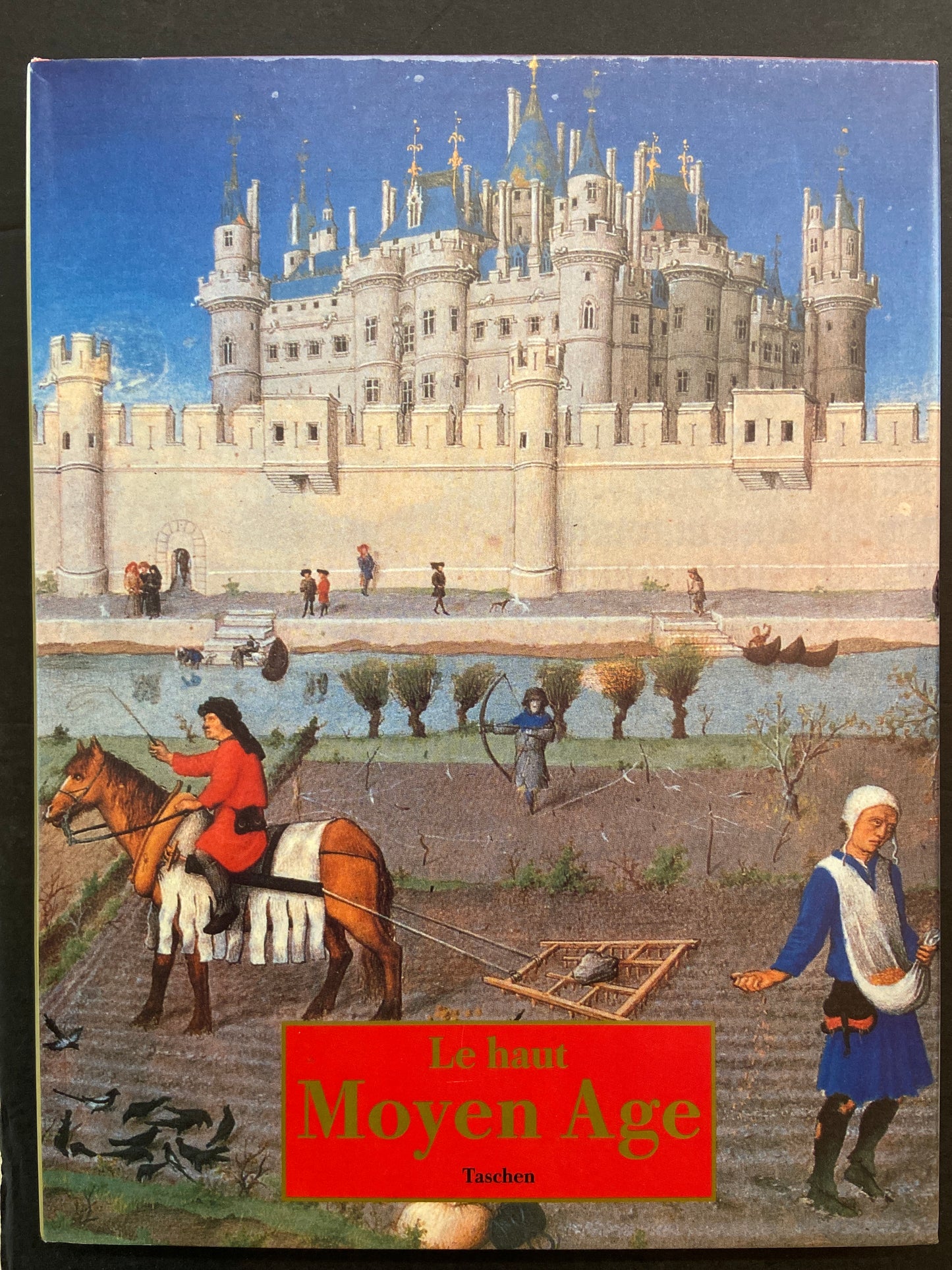 LE HAUT MOYEN ÂGE