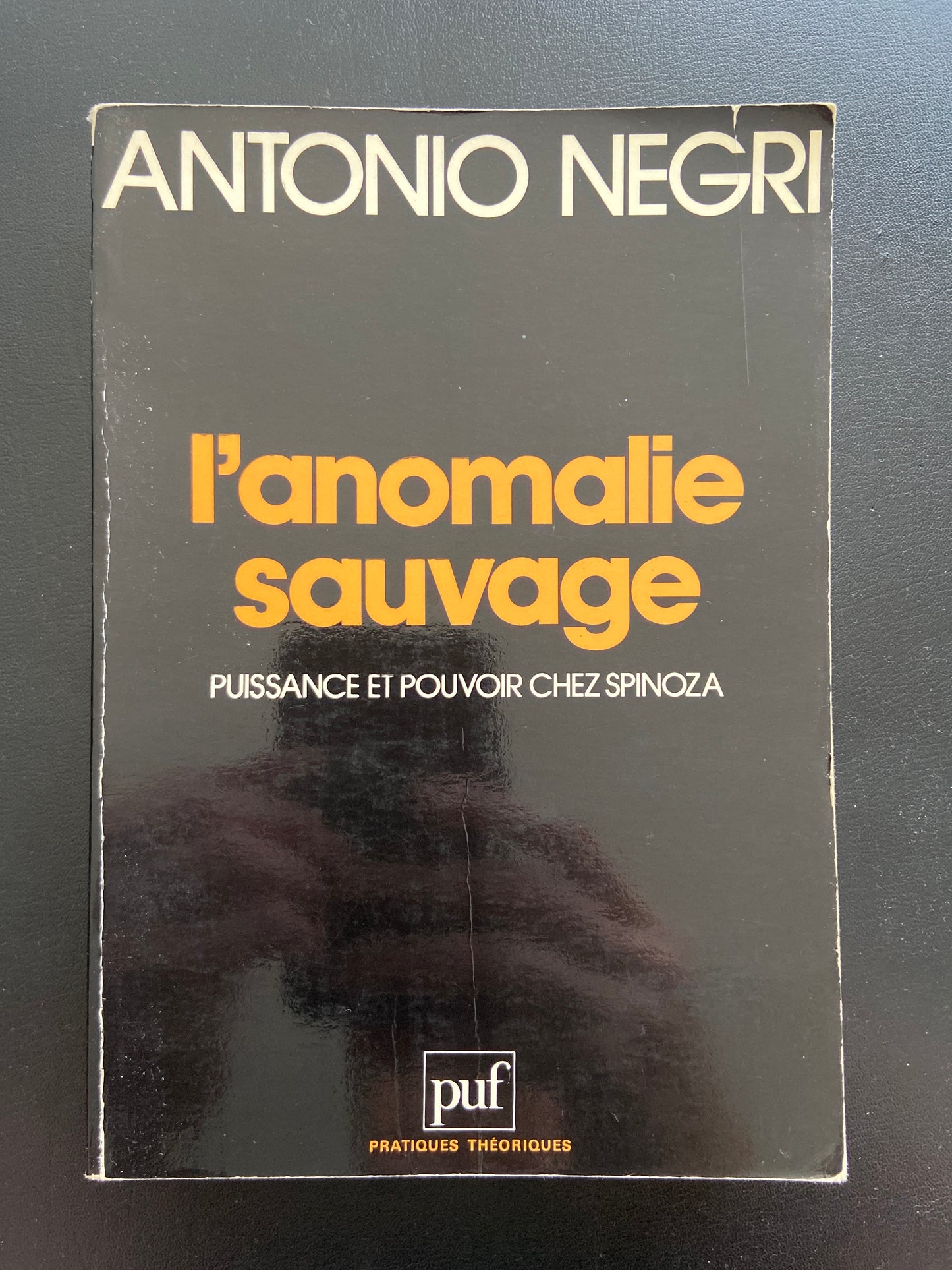 L'ANOMALIE SAUVAGE - PUISSANCE ET POUVOIR CHEZ SPINOZA
