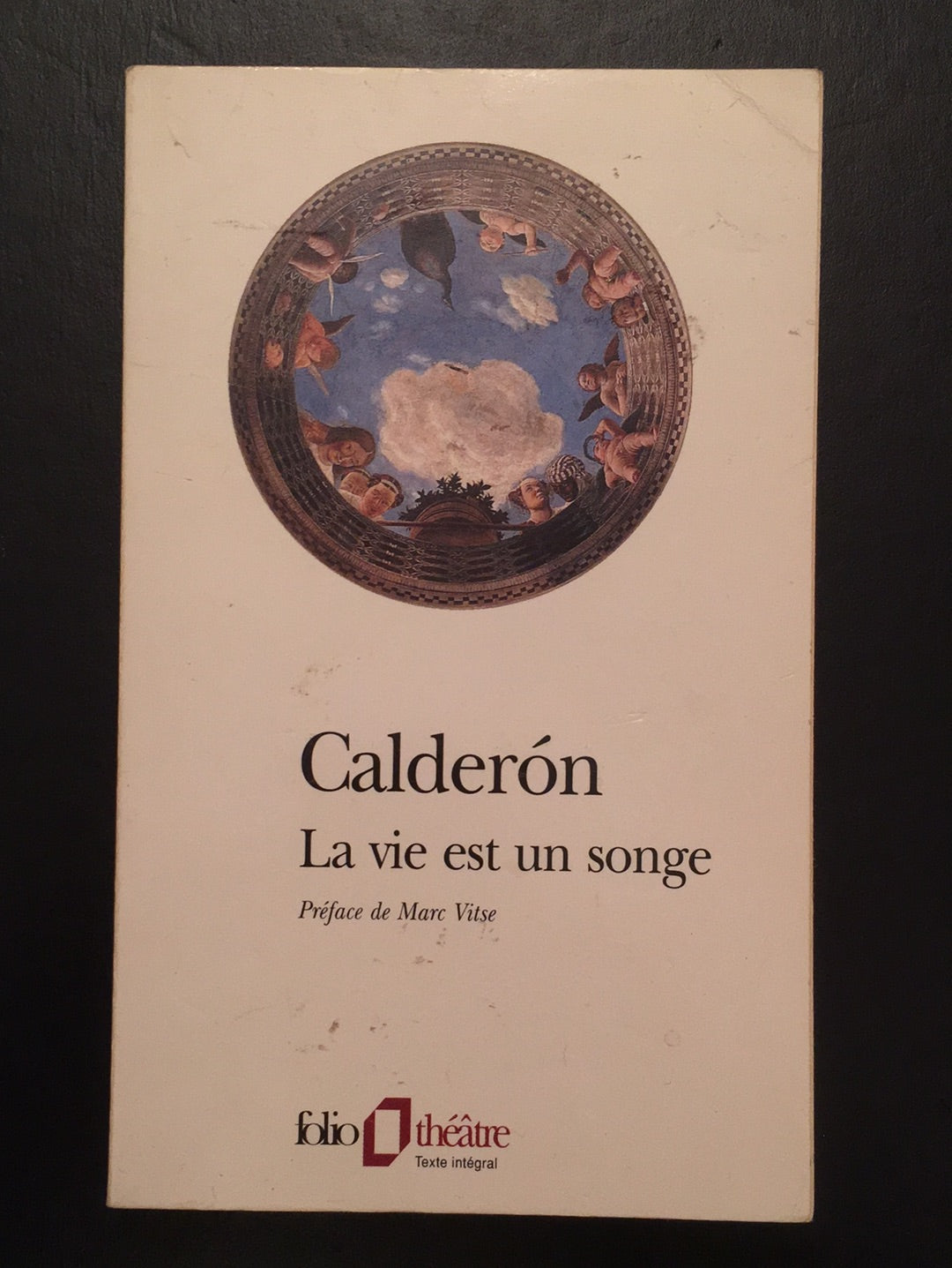 LA VIE EST UN SONGE