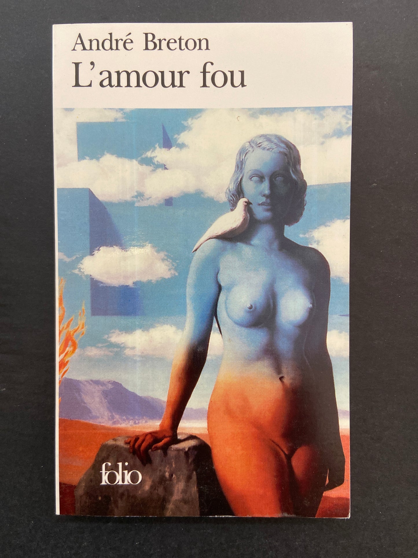 L'AMOUR FOU